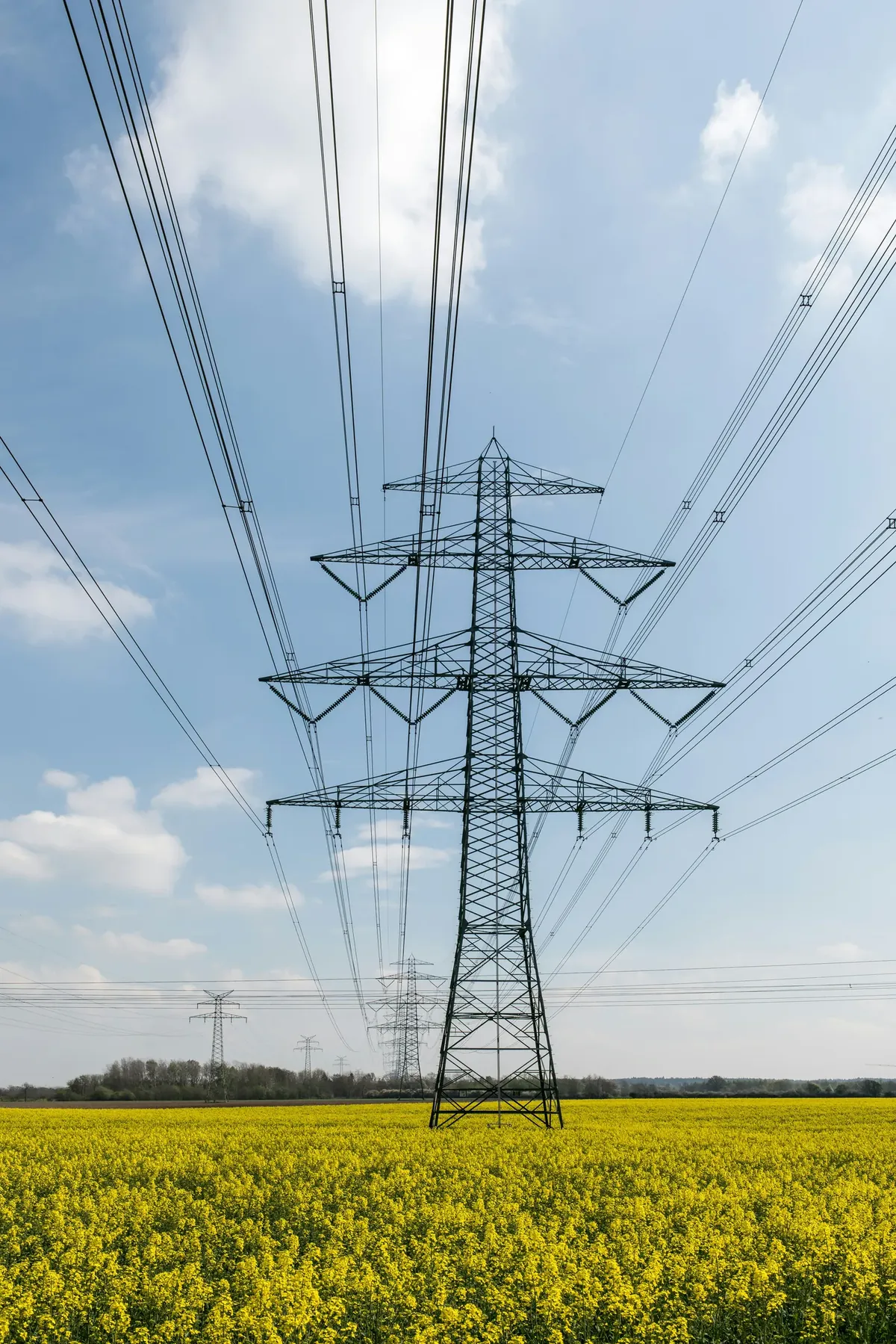 Profissional em ambiente industrial de energia